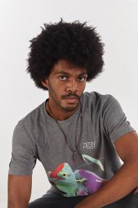 CAMISETA ESTAMPA CAMALEÃO - MESCLA ESCURA